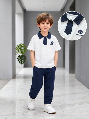 VigoSource Boys Summer New Stylish Embroidered Color-blocked Short-slee...